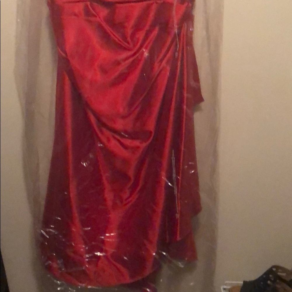 Formal - Picture 4 of 6
